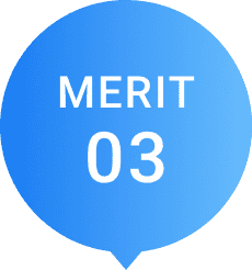merit03